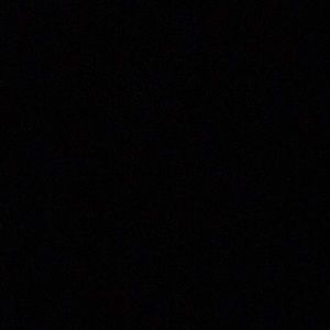 Meet your Posher, Raesean